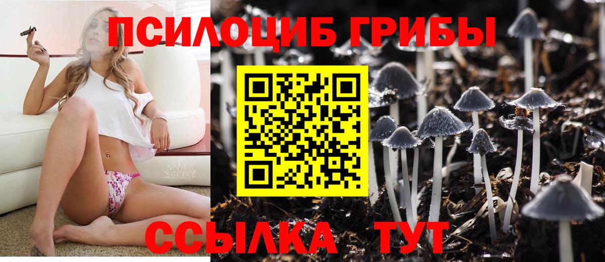 МДМА Можга